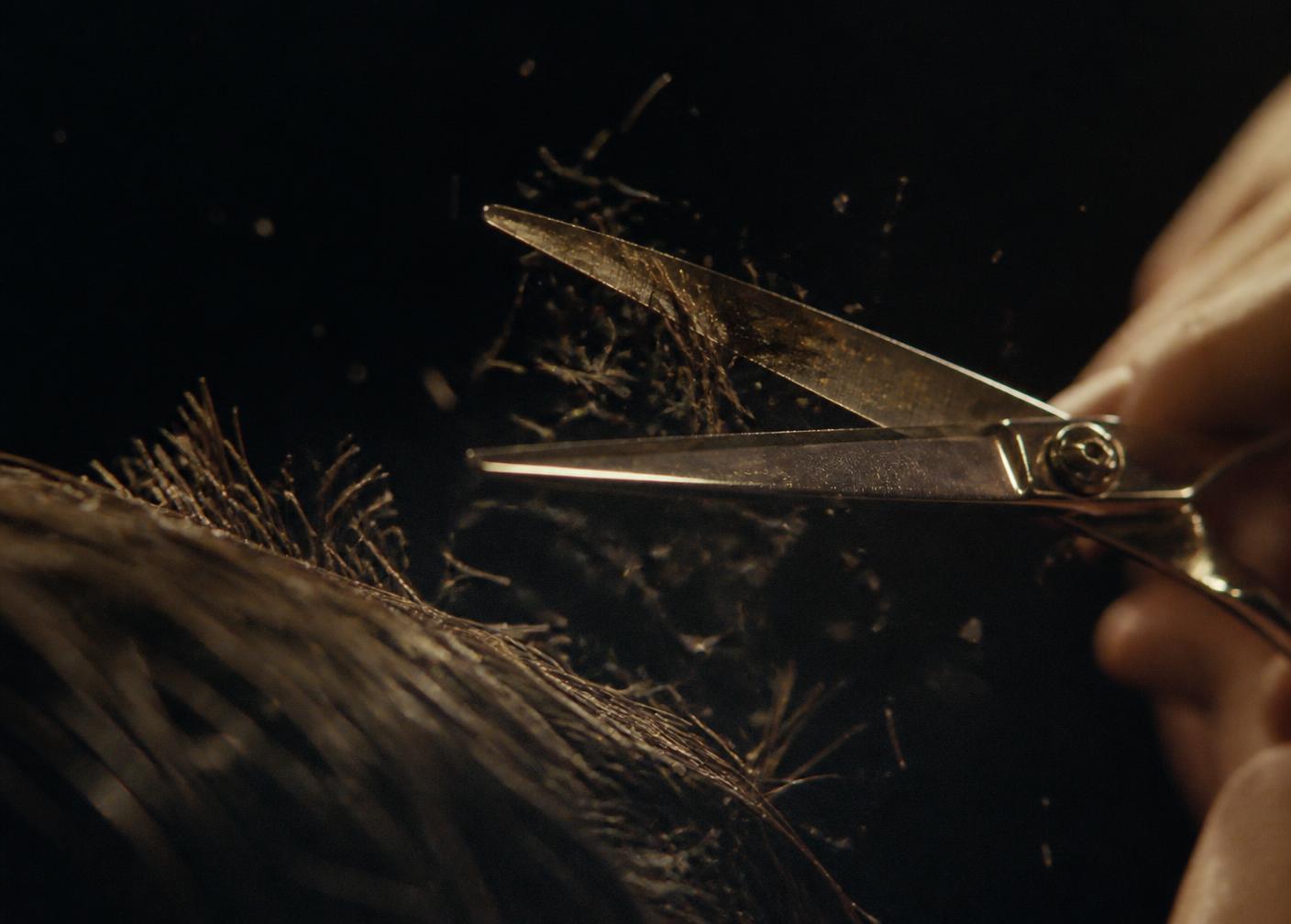 Scissors cutting dark hair, cut hair suspended in lamp light